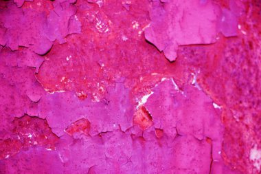 Paslanmış eski boyanmış doku arkaplanı.