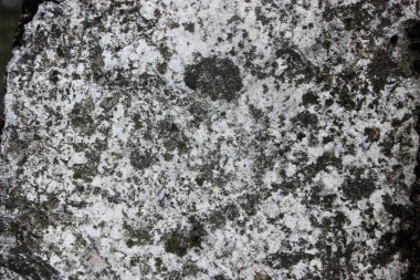 old rusty wall background view 