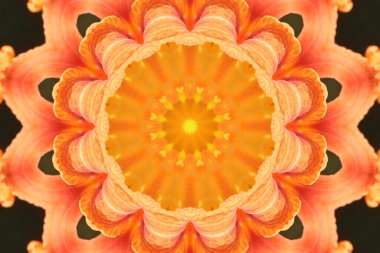 soyut renkli mandala arkaplan görüntüsü 