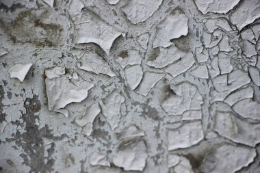 Yıpranmış doğal ahşap doku arka planı 