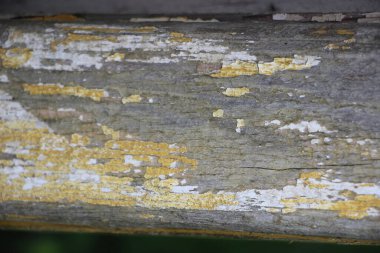 Yıpranmış doğal ahşap doku arka planı 