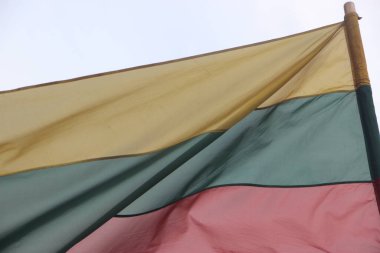 Flag of Lithuania outdoor view 