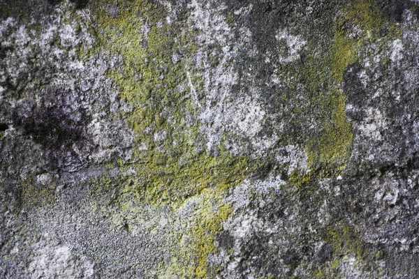 Old Rusty Wall Background View — Stock Fotó