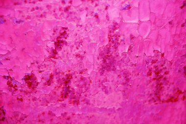 Paslanmış eski boyanmış doku arkaplanı.