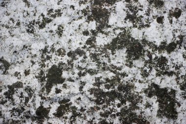 old rusty wall background view 