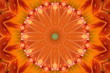 Renkli soyut arka plan. Fantezi mandala konsepti