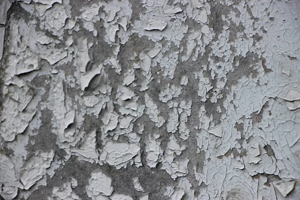 Rough Weathered Natural Madeira Textura Fundo — Fotografia de Stock