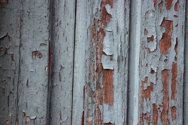 Twarde Wietrzenie Naturalnego Drewna Tekstury Tła — Zdjęcie stockowe