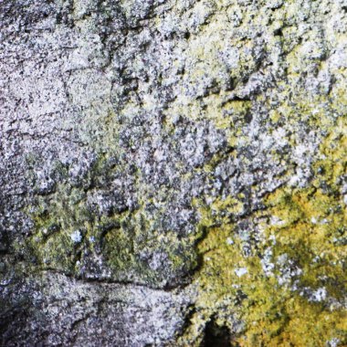 abstract industrial grungy wall texture background, close up