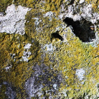 abstract industrial grungy wall texture background, close up