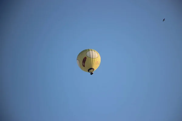 Heteluchtballonnen Zicht Lucht — Stockfoto