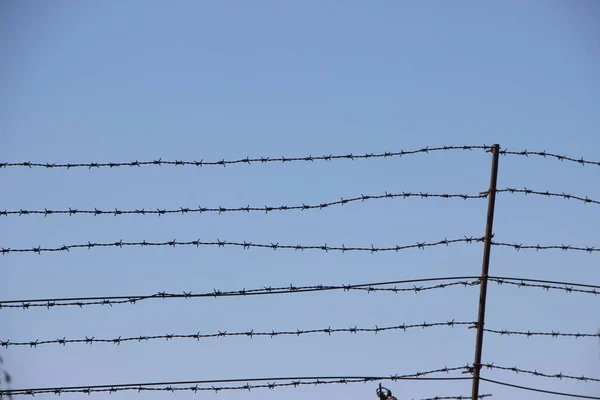 Barbed Wire Sky Background — Stock Photo, Image