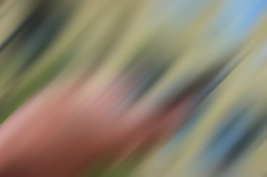 soyut renkli canlı arkaplan görünümü, hareket kavramı