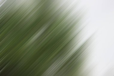 soyut renkli canlı arkaplan görünümü, hareket kavramı