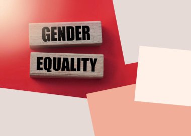 Tahta bloklarda cinsiyet eşitliği kelimeleri. Kadın ve erkek kavramları için eşit haklar