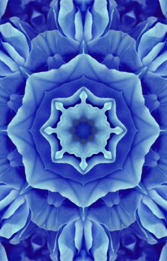 Soyut renkli yaratıcı dijital mandala arkaplan görüntüsü