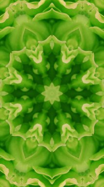 Soyut renkli yaratıcı dijital mandala arkaplan görüntüsü