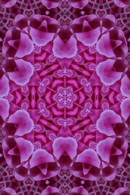 Soyut renkli yaratıcı dijital mandala arkaplan görüntüsü