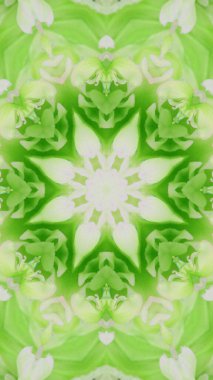 Soyut renkli yaratıcı dijital mandala arkaplan görüntüsü