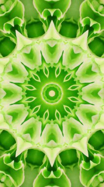 Soyut renkli yaratıcı dijital mandala arkaplan görüntüsü