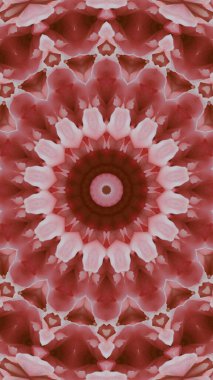 Soyut renkli yaratıcı dijital mandala arkaplan görüntüsü