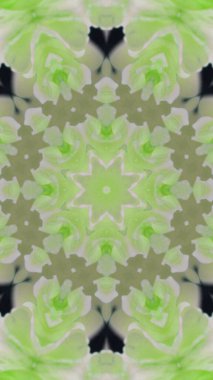 Soyut renkli yaratıcı dijital mandala arkaplan görüntüsü