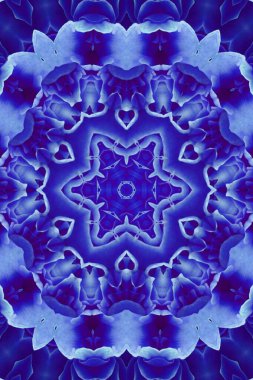 Soyut renkli yaratıcı dijital mandala arkaplan görüntüsü