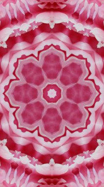 Soyut renkli yaratıcı dijital mandala arkaplan görüntüsü