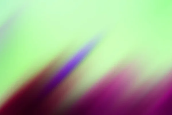 Soyut Renkli Canlı Arkaplan Görüntüsü — Stok fotoğraf
