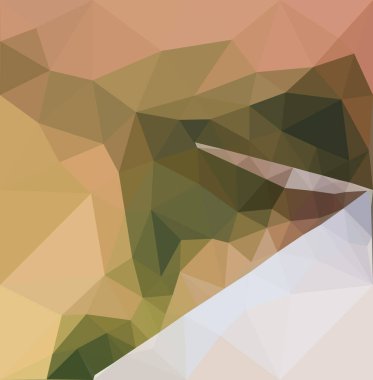 Soyut geometrik renkli arkaplan 