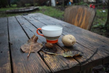 Sonbahar, bir fincan çay, bir fincan kahve ve sonbahar yapraklarıyla sakin bir hayat.