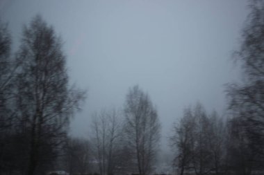 Kara kış ormanı, karlı ve ağaçlı.