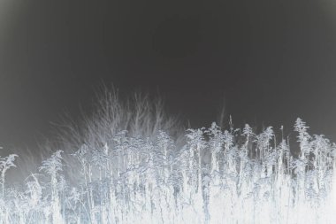 Karlı Noel arkaplanı