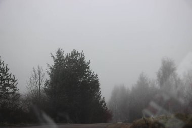 Ağaçlı ve sisli güzel bir manzara.