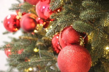 Köknar ağacında kırmızı noel topları. Yılbaşı ve yeni yıl geçmişi. Noel ağacı..