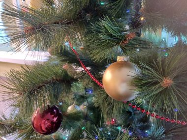 Evin içinde noel süslemeleri var..