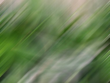 Bulanık ışık izleri arka plan