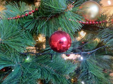 Oyuncakları ve ışıkları olan güzel Noel ağacı