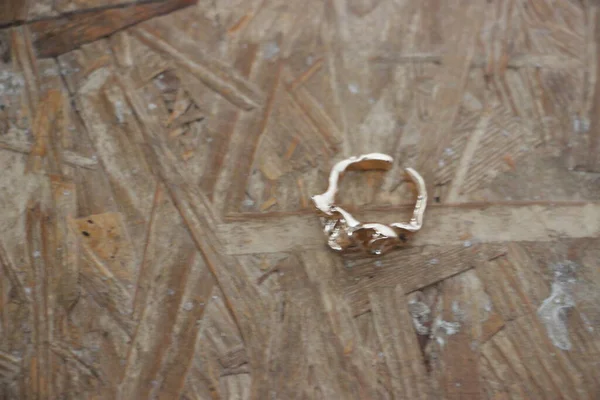 Ahşap bir yüzeye yakın çekim