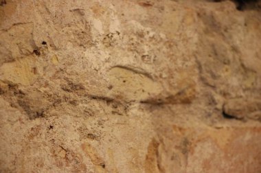 Kumlu renklere ve ince desenlere sahip desenli doğal taş yüzeyine yakın çekim.