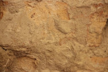 Kaba kayaların desenli yüzeyi kahverengi ve bej tonlarının çeşitli tonlarını göstermektedir..