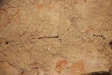 Sıcak bej renkli doğal desenli dokulu taş duvarın yakın görüntüsü.