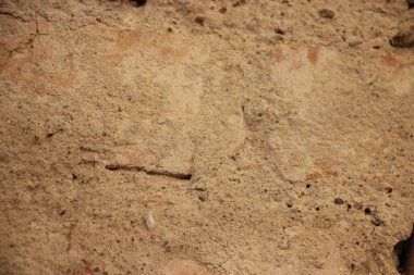 Kuru ve kurak bir ortamda kayalık bir yüzeye oyulmuş antik petroglifler..