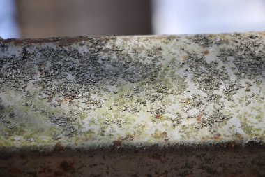 Yıpranmış bir yüzeye yakından bakınca doğal ışıkta doku ve renk bozulması görülüyor..