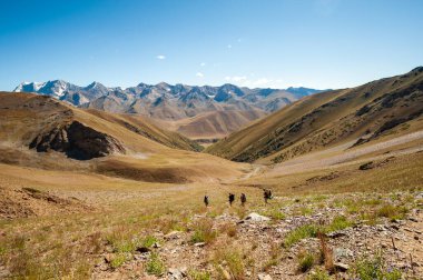 Bir grup yürüyüşçü yüksek dağlardaki dağ dullarıyla kayalık geçitten iniyor. Sary Chelek Gölü, Sary-Chelek Celal Abad bölgesi, Kırgızistan, Orta Asya 'da yürüyüş yapan genç erkek ve kadınlar.