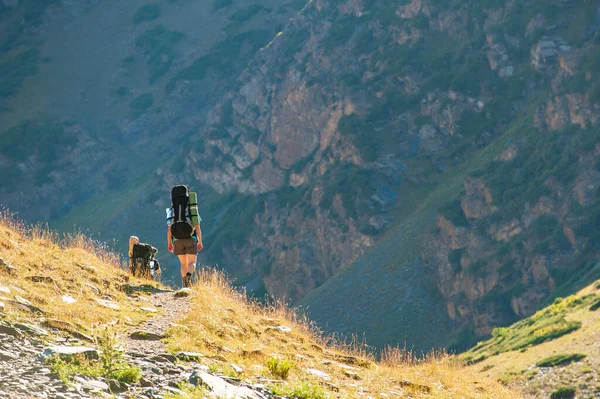 Group of young hikers trekking in mountains. Two women two men backpacking in summer near Sary Chelek lake, Sary-Chelek Jalal Abad region, Kyrgyzstan, Trekking in Central Asia.