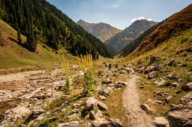 Group of trekkers descending rocky pass with mountain top views in high mountains. Young men and women hiking near Sary Chelek lake, Sary-Chelek Jalal Abad region, Kyrgyzstan, Trekking in Central Asia.