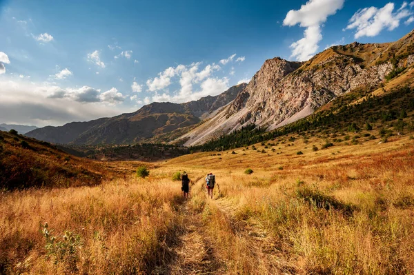 Group of young hikers trekking in mountains. Two women two men backpacking in summer near Sary Chelek lake, Sary-Chelek Jalal Abad region, Kyrgyzstan, Trekking in Central Asia.