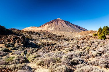 Volkan del Teide 'nin silueti mavi gökyüzüne ve sırt çantalı kadın yürüyüşçüye karşı. El Teide Ulusal Parkı 'ndaki Pico del Teide Dağı. Tenerife, Kanarya Adaları, İspanya