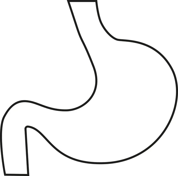 Human Stomach Line Icon Internal Body Organ Vector Illustration — Stock Vector